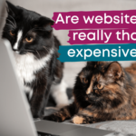 Cats looking at a website on a laptop